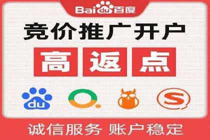 百度推广策略揭秘：某行业领头羊的成功经验